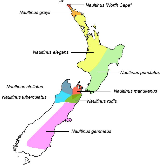 Naultinus distribution map