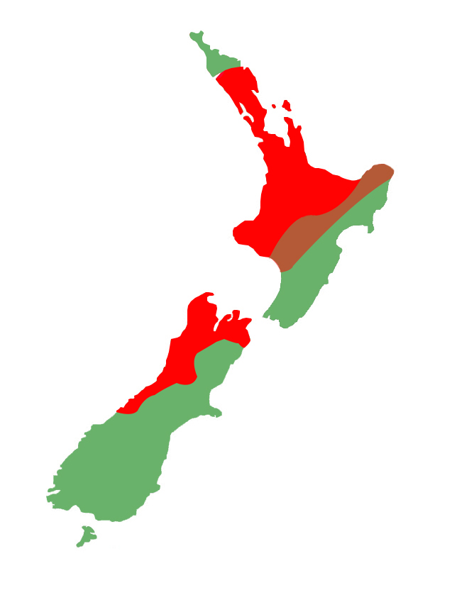 Mokopirirakau granulatus distribution