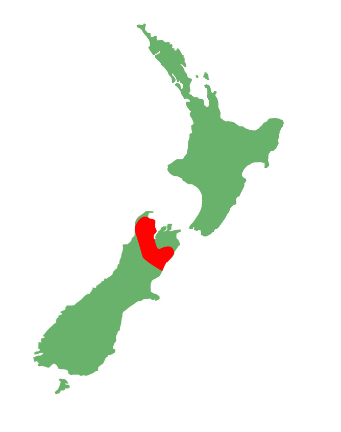 Mokopirirakau kahutarae distribution