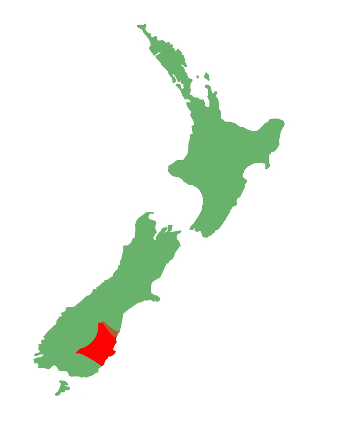 Otago green skink distribution.
