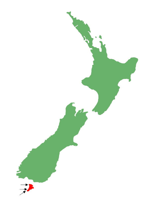 Stewart Island green skink distribution