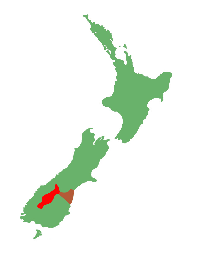 Lakes skink distribution