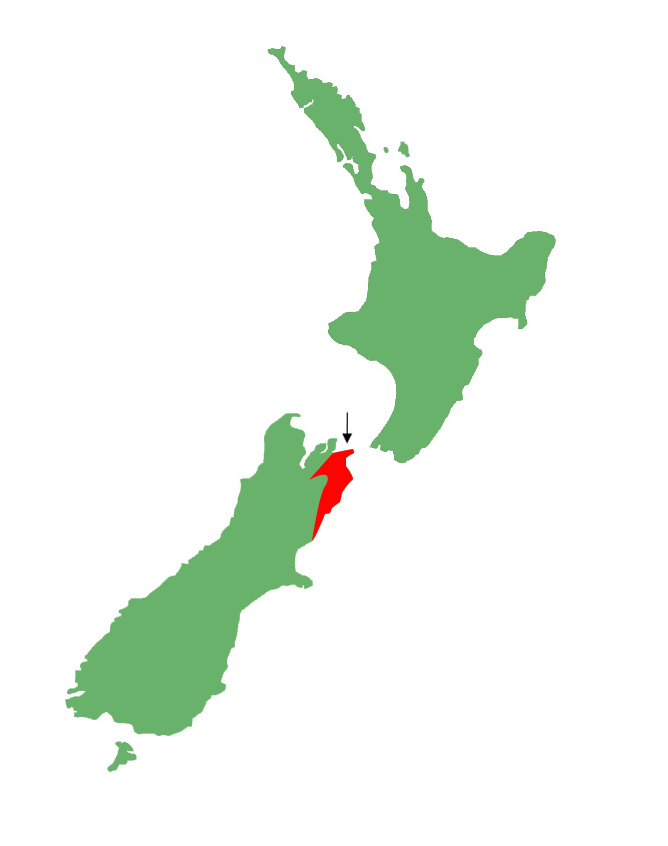 Waiharakeke grass skink distribution