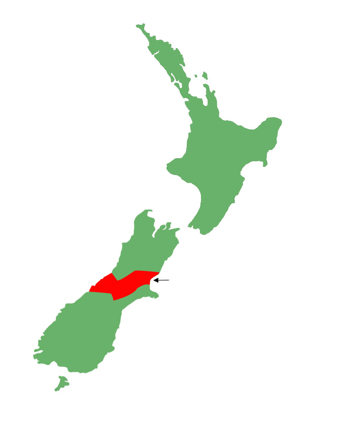 Canterbury grass skink distribution