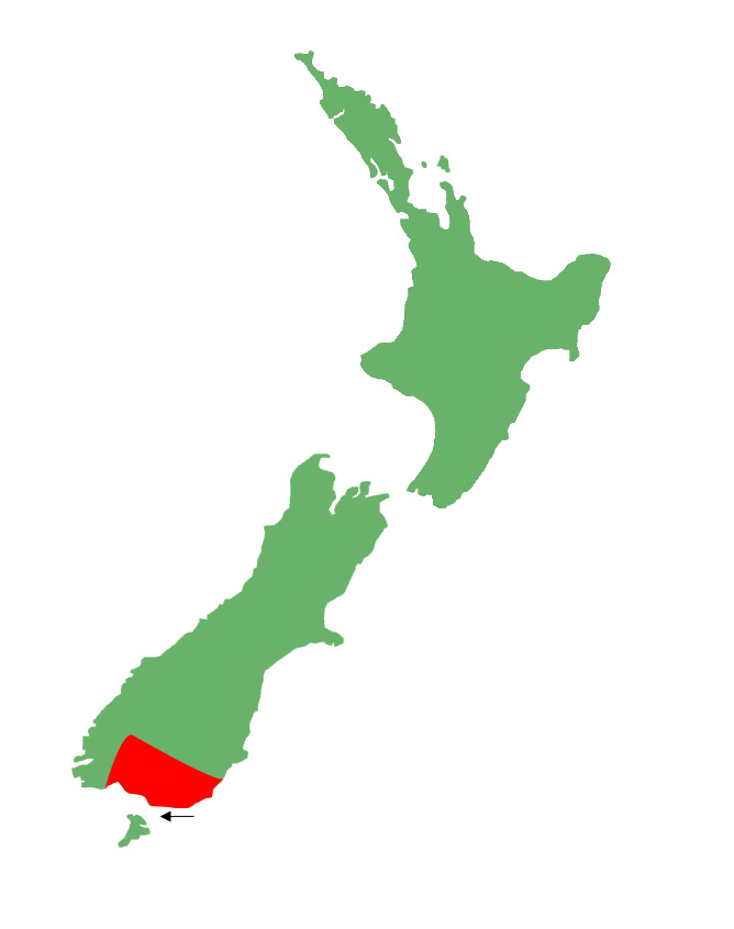 Oligosoma chloronoton distribution