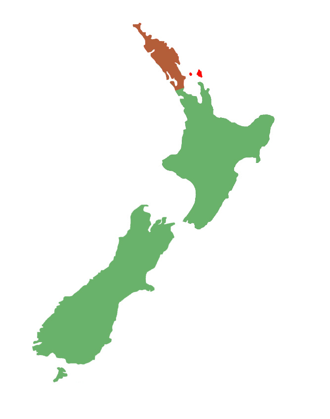 Oligosoma homalonotum distribution