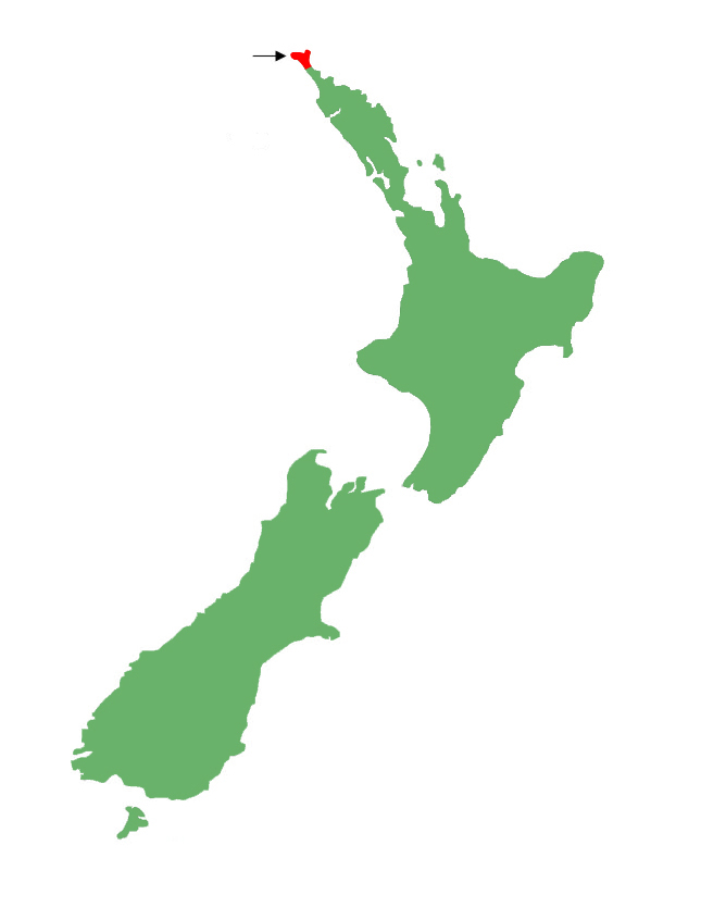 Oligosoma levidensum distribution