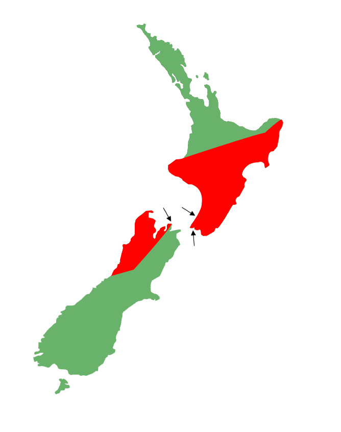 Oligosoma polychroma distribution