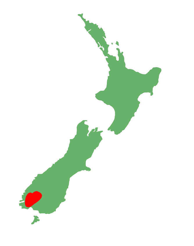 Oligosoma repens distribution