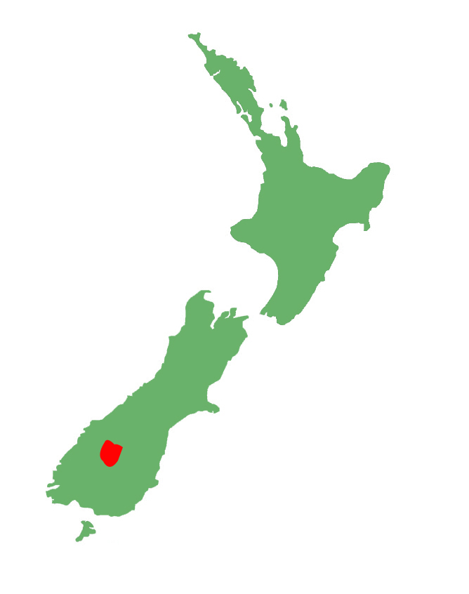 Kawarau gecko distribution