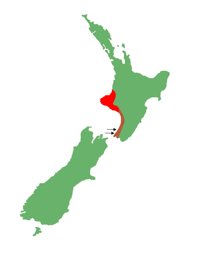 Woodworthia chrysosiretica distribution