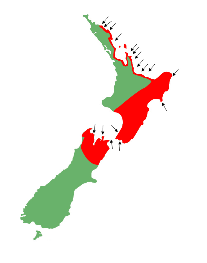 Woodworthia maculata distribution