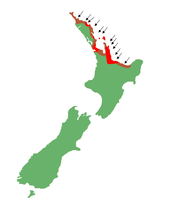 Oligosoma moco map