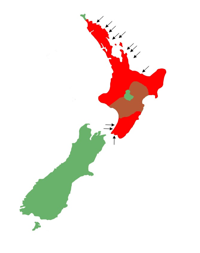 Oligosoma aeneum map