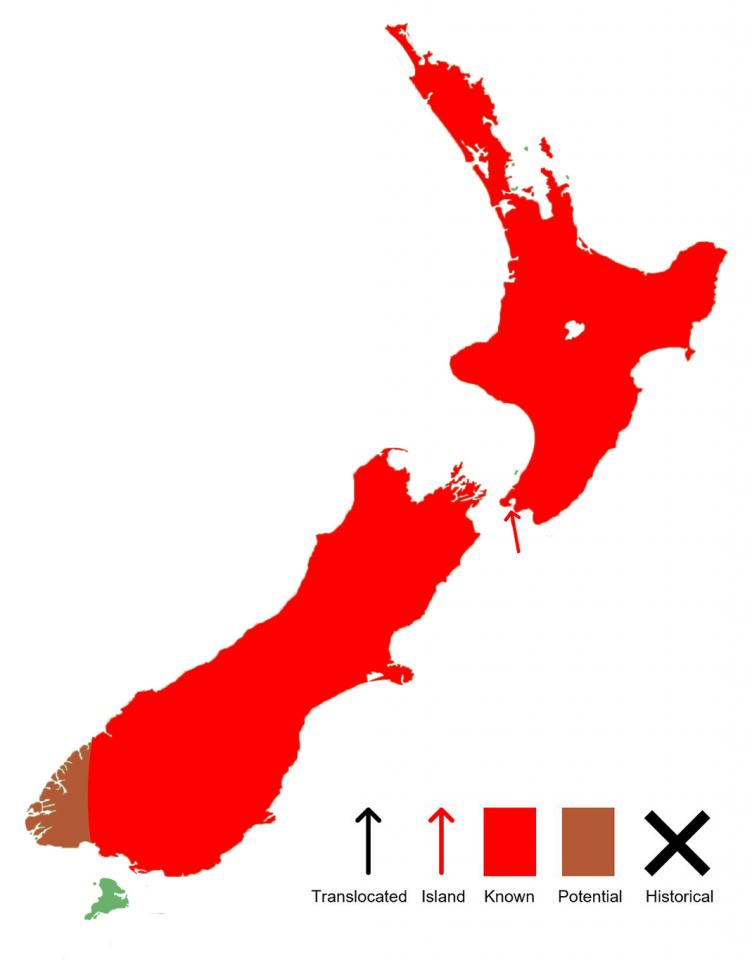 Southern bell frog distribution