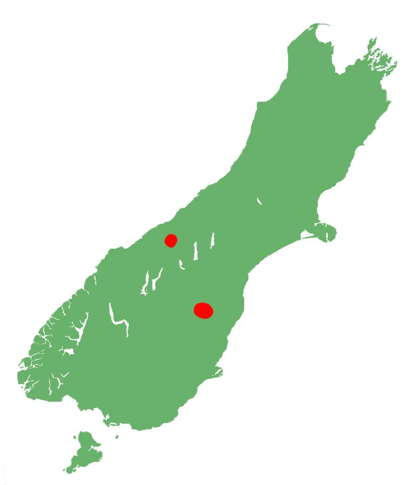 Oteake skink distribution.