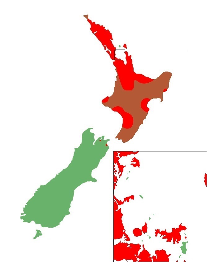 Lampropholis delicata distribution