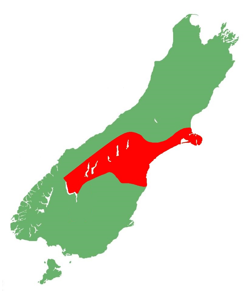 Southern grass skink distribution