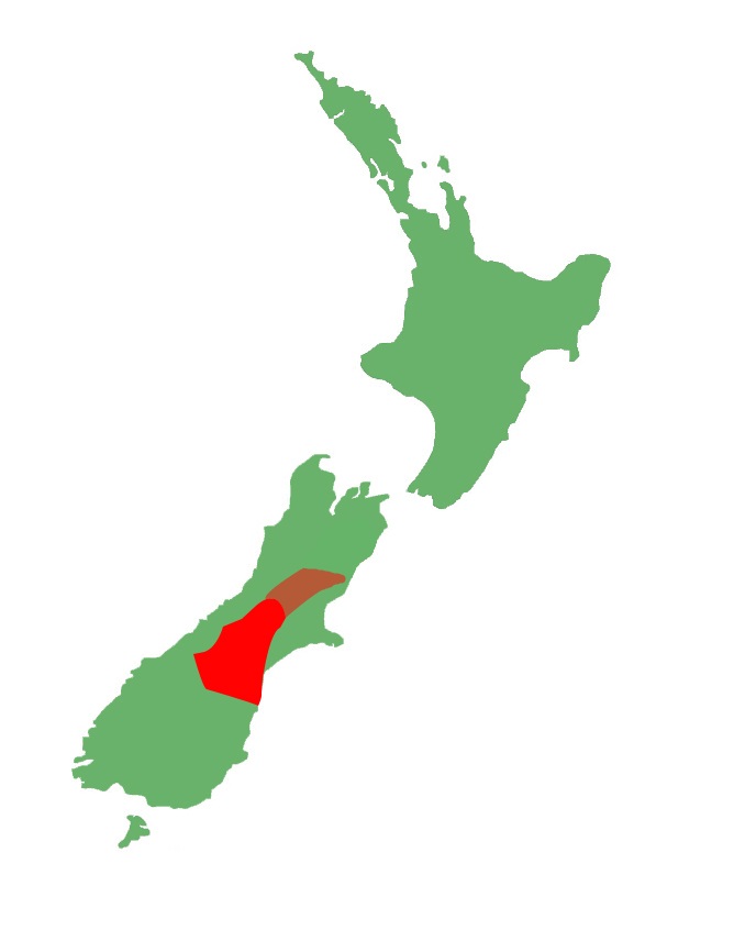 Oligosoma waimatense distribution