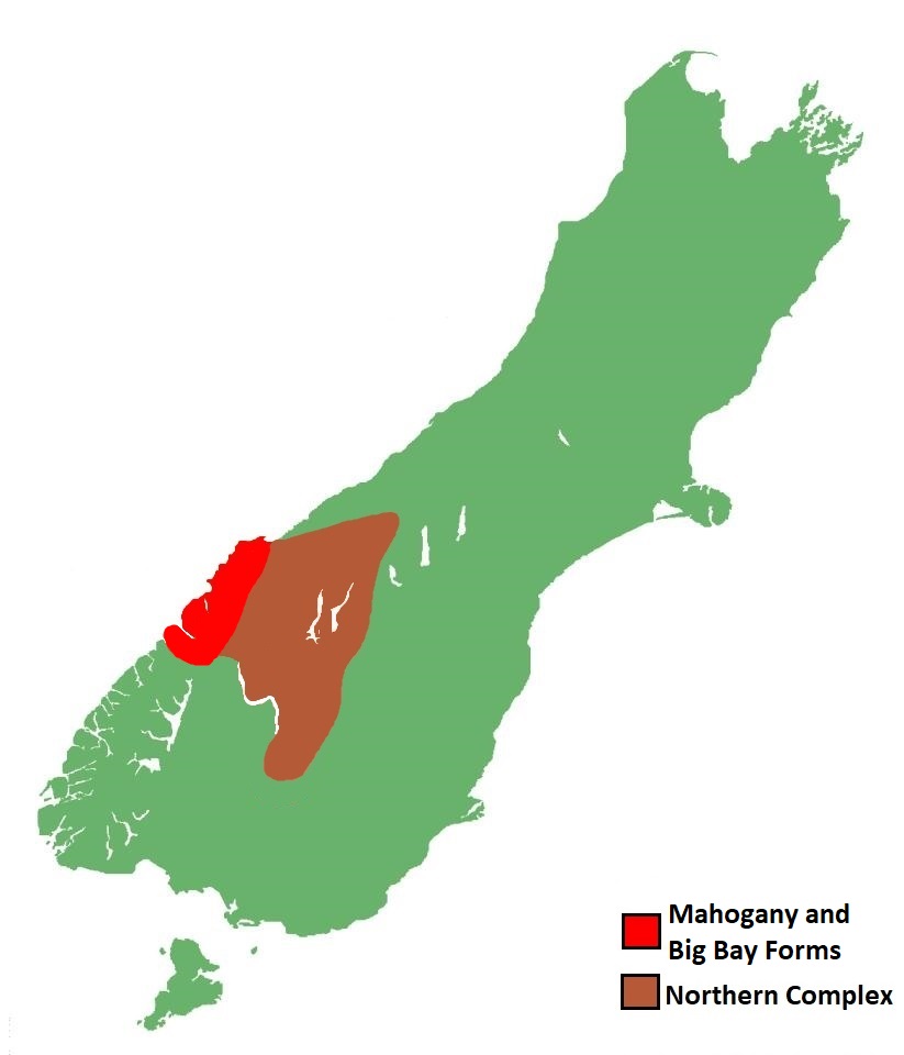 Te Wāhipounamu skink distribution.
