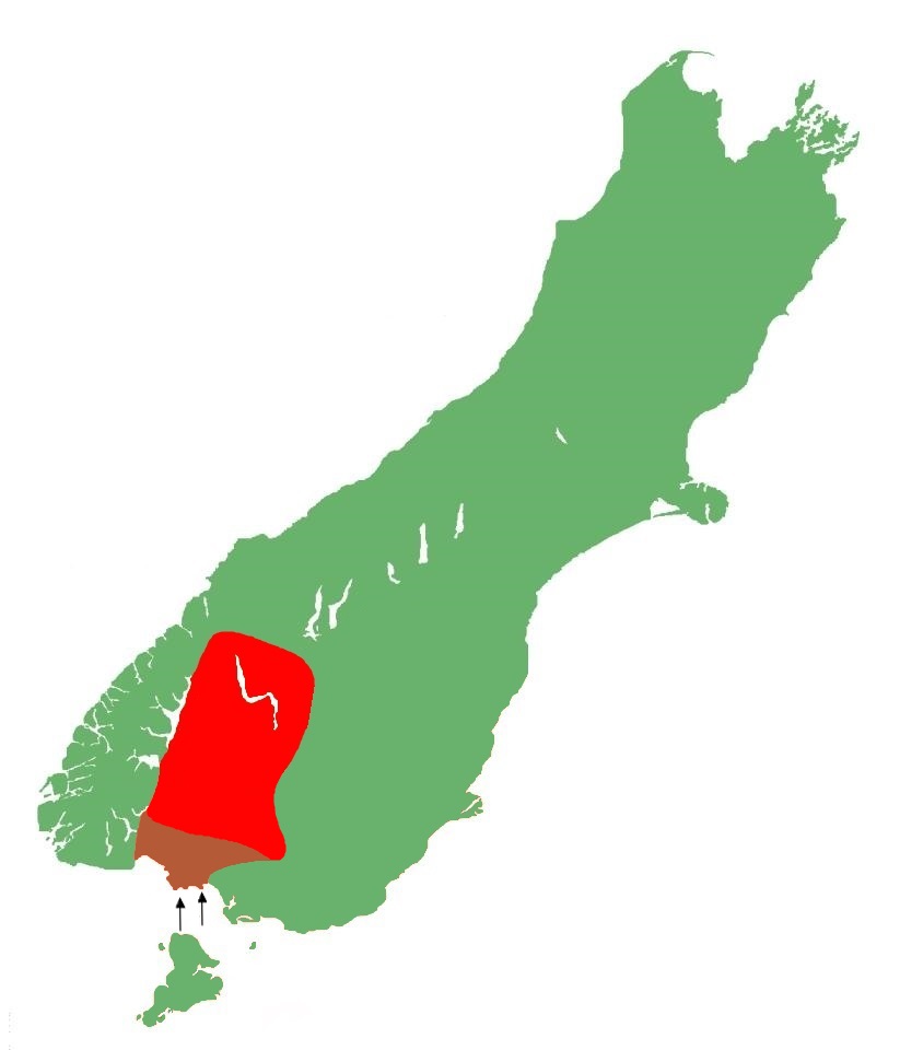 Oligosoma inconspicuum distribution