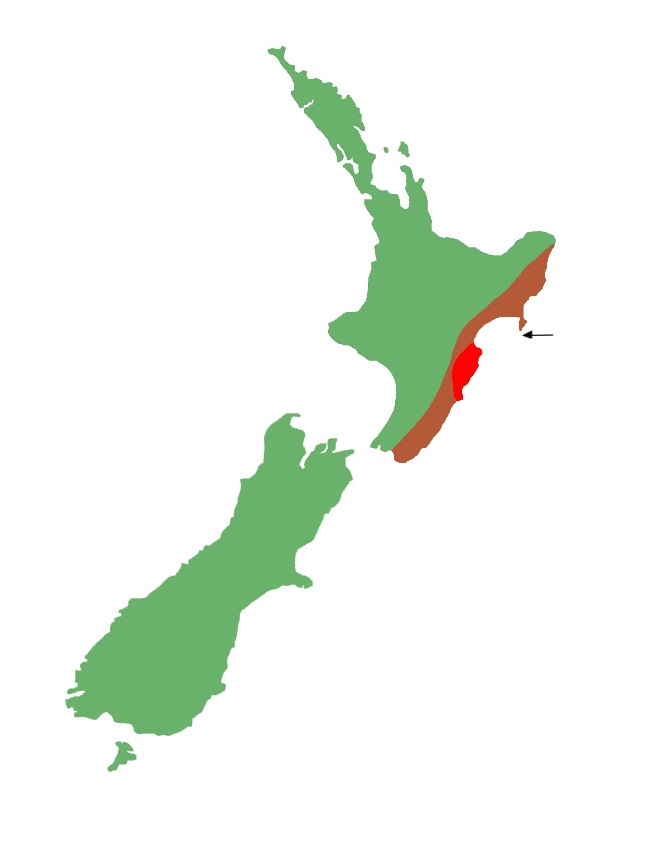 Hawkes Bay skink distribution