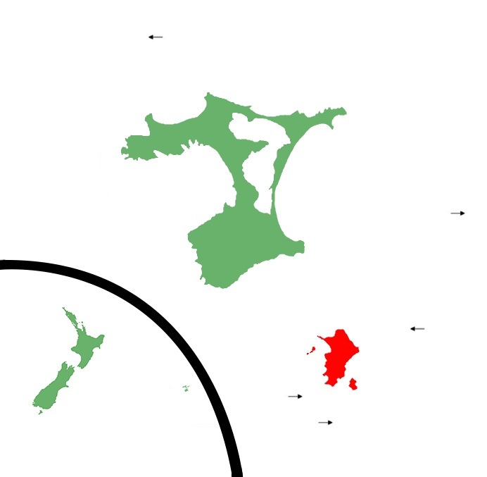 Chatham's skink distribution