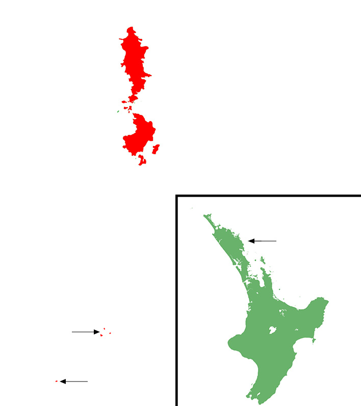 Poor Knight Gecko Distribution
