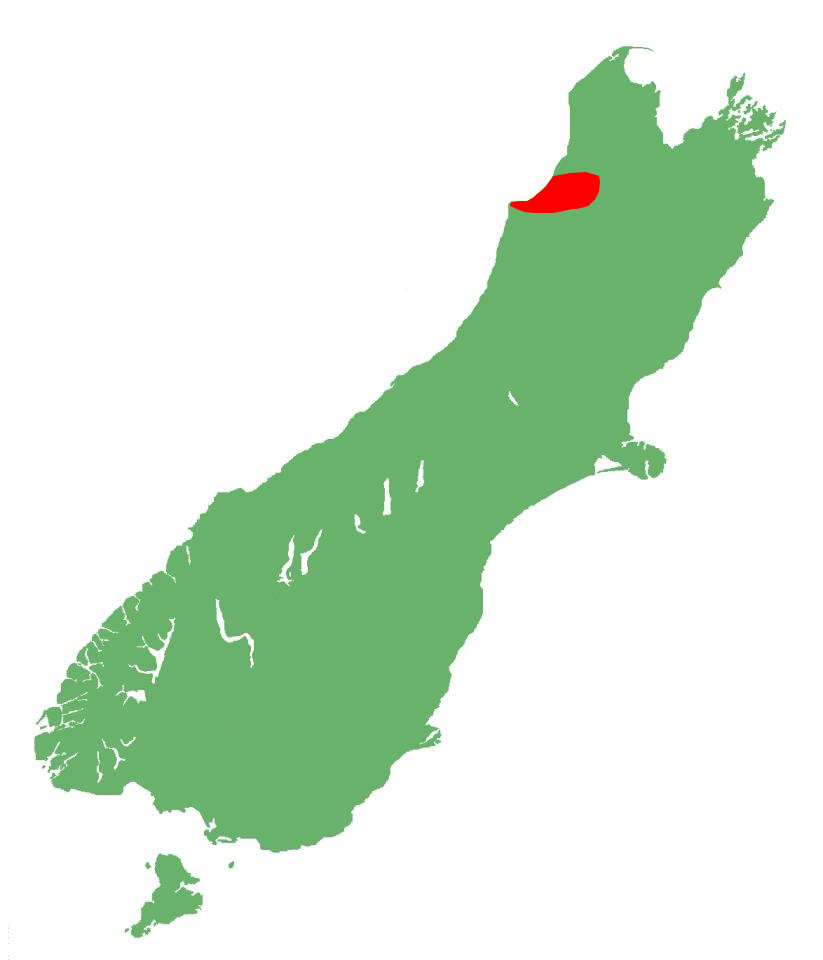 Buller skink distribution