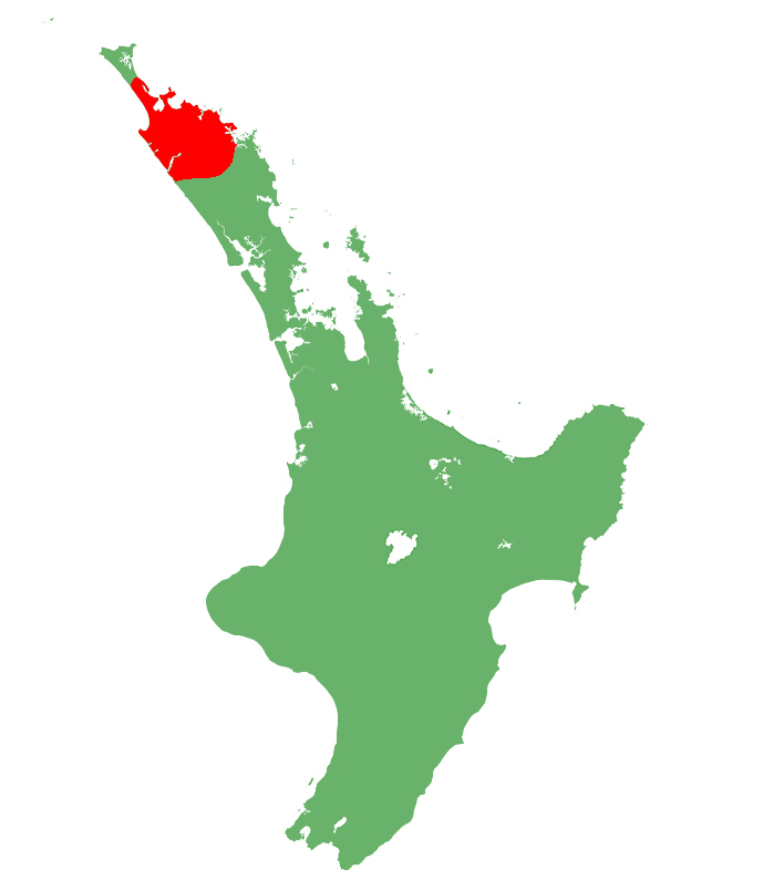 Naultinus grayii distribution