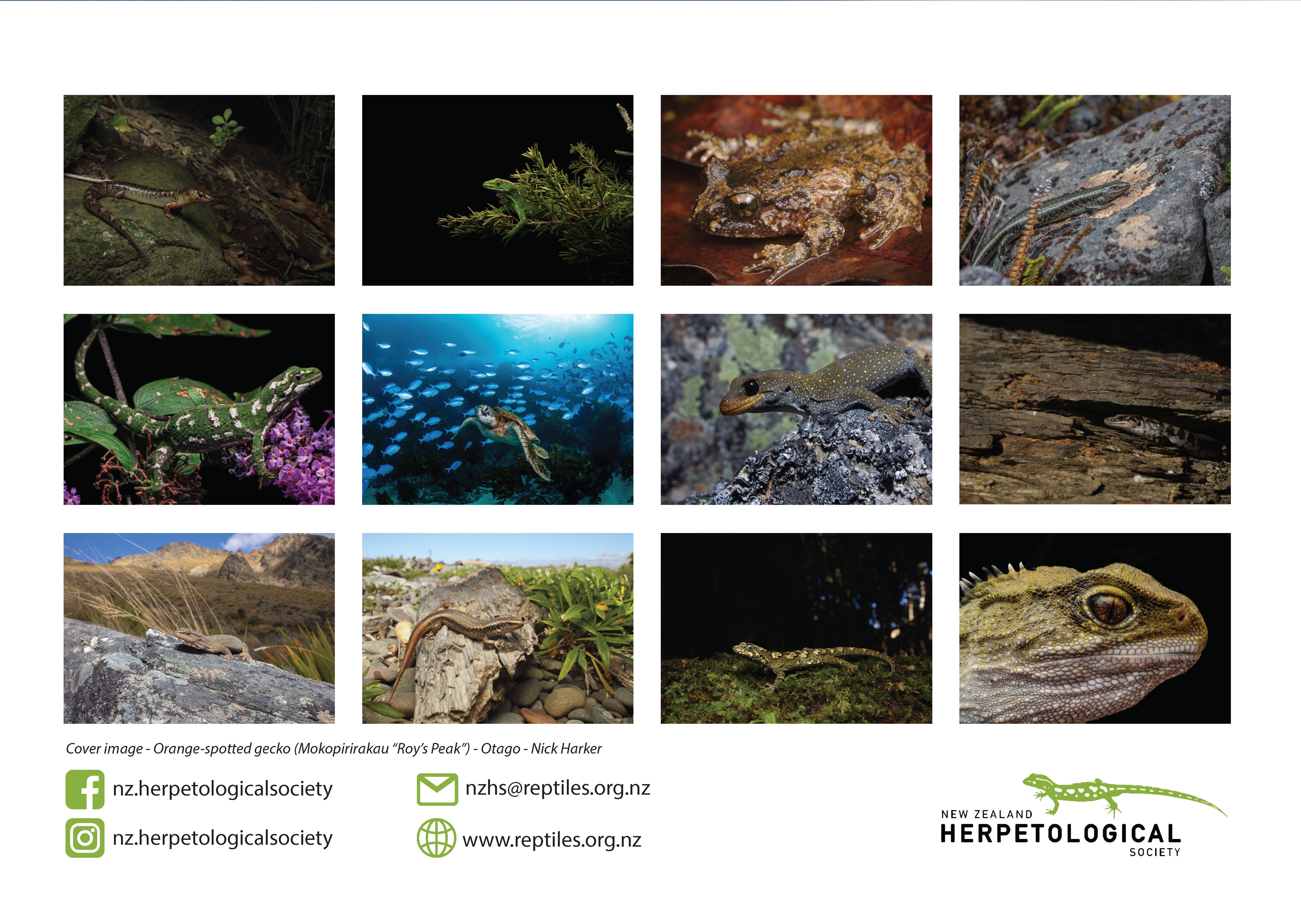 2026 Calendar Reverse