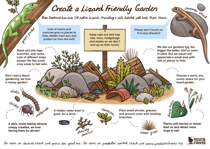 Predator Free NZ - Lizard Friendly Garden