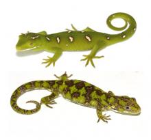 Green geckos